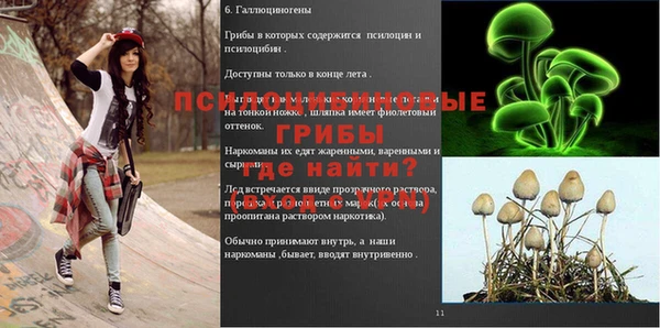 экстази Белокуриха