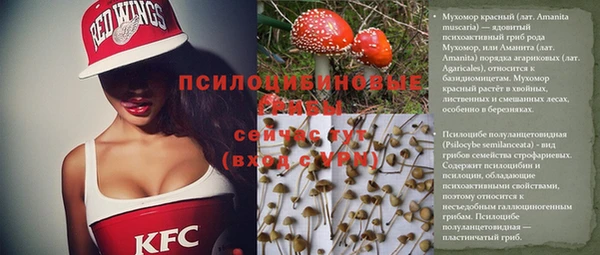 сатива Белоозёрский