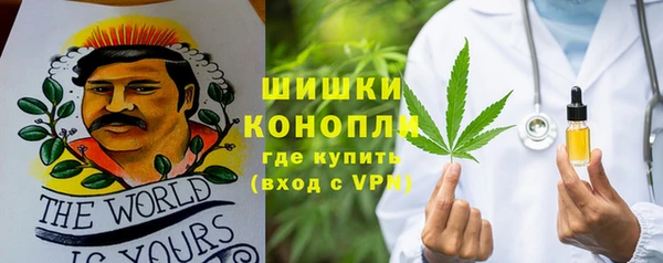 спиды Инсар