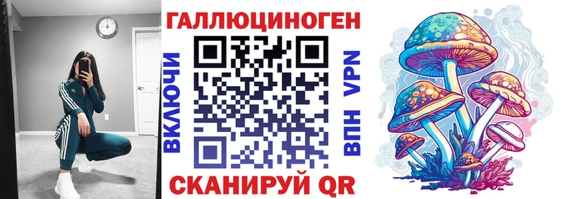 как найти   Дагестанские Огни  MEGA ссылка  Псилоцибиновые грибы Magic Shrooms 