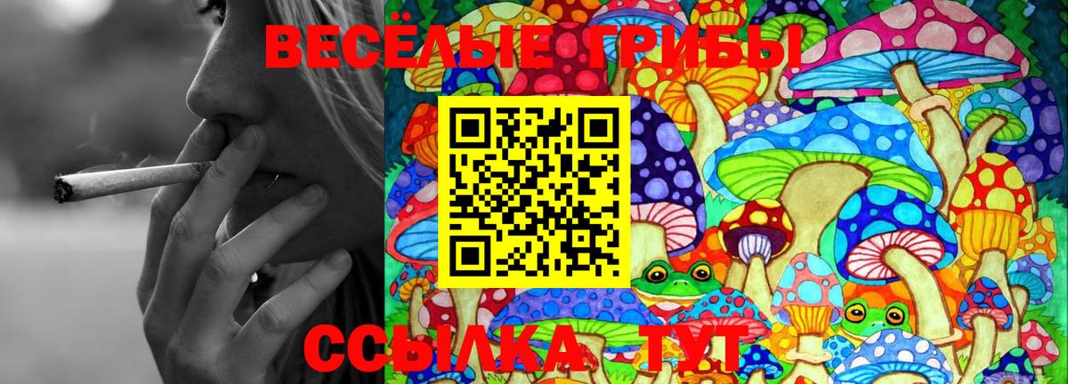 Галлюциногенные грибы мицелий Дагестанские Огни